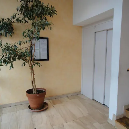 Type 1 Piece Proche Zenith