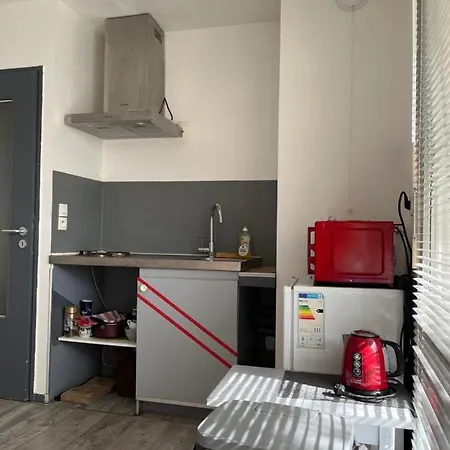 Type 1 Piece Proche Zenith