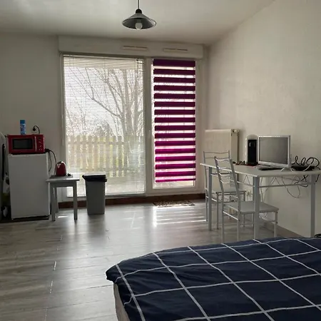 Type 1 Piece Proche Zenith