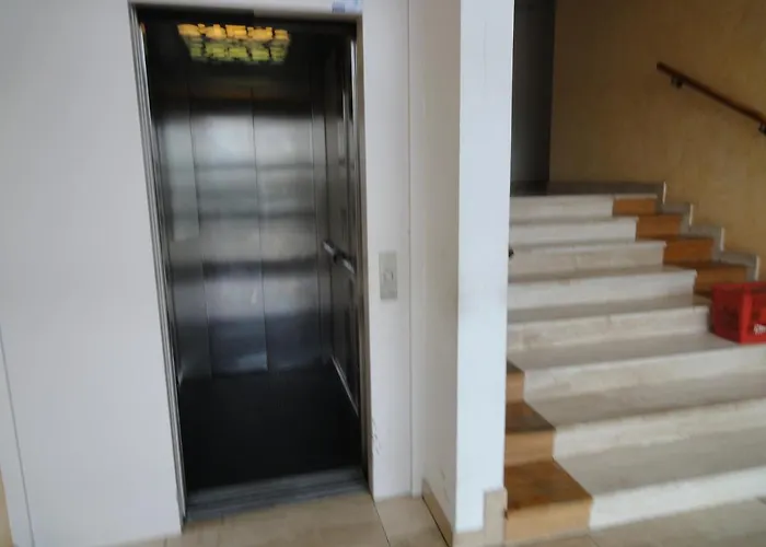 Type 1 Piece Proche Zenith Daire *