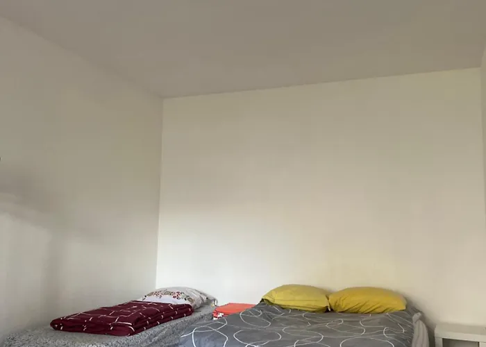 Type 1 Piece Proche Zenith Daire