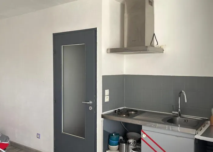 Type 1 Piece Proche Zenith Strasbourg