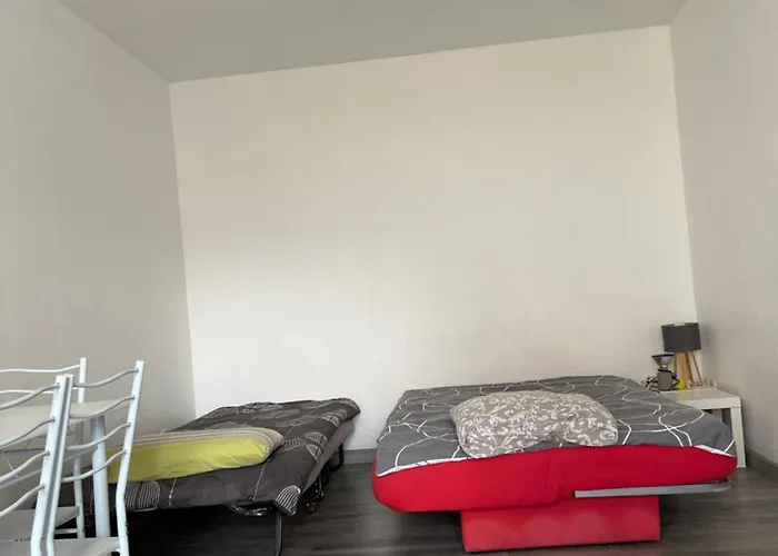 Type 1 Piece Proche Zenith