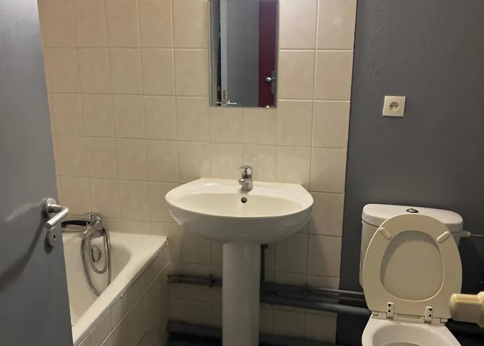 Type 1 Piece Proche Zenith * Strasbourg